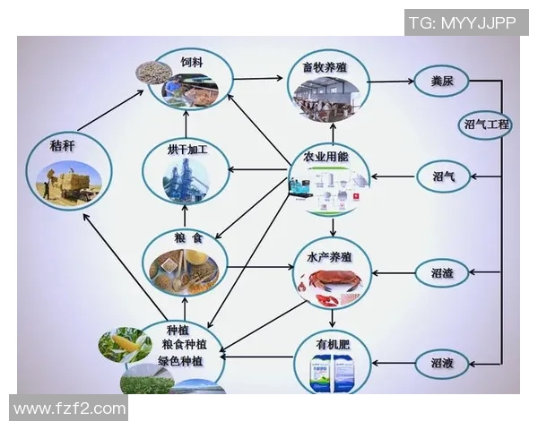 大米种植技术创新与可持续发展路径研究及应用探讨