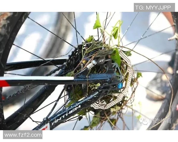 深圳极限运动队与广州极限运动队赛后复盘及经验分享分析