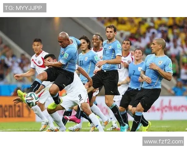 诺维奇球员14号是谁？球队阵容及战术角色分析